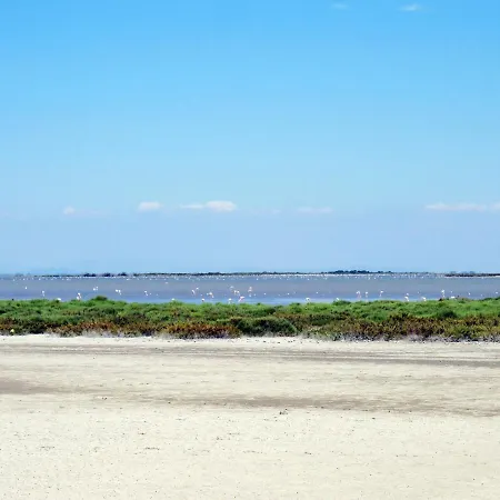 Le Myflower By Interhome *